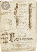 Carica l'immagine nel visualizzatore di Gallery, Disegni di Leonardo Da Vinci - relaxart.it