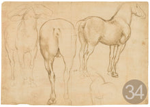 Carica l'immagine nel visualizzatore di Gallery, Disegni di Leonardo Da Vinci - relaxart.it