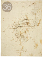 Carica l'immagine nel visualizzatore di Gallery, Disegni di Leonardo Da Vinci - relaxart.it
