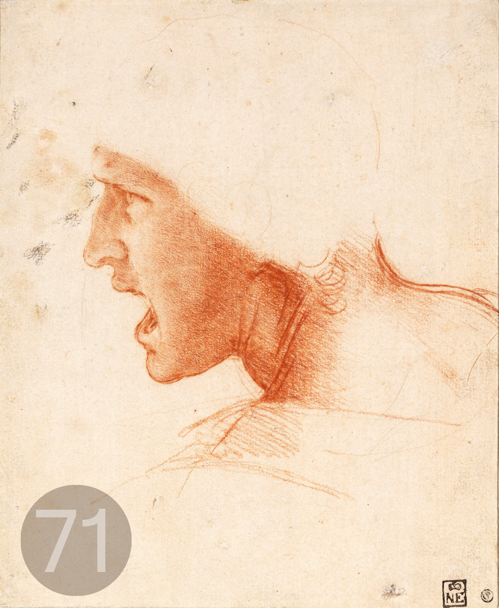 Disegni di Leonardo Da Vinci - relaxart.it